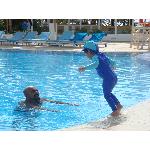Sharm el Sheikh (2008-03-25)