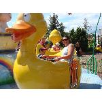 Kul åkattraktioner på Ölands djurpark (2008-07-10)